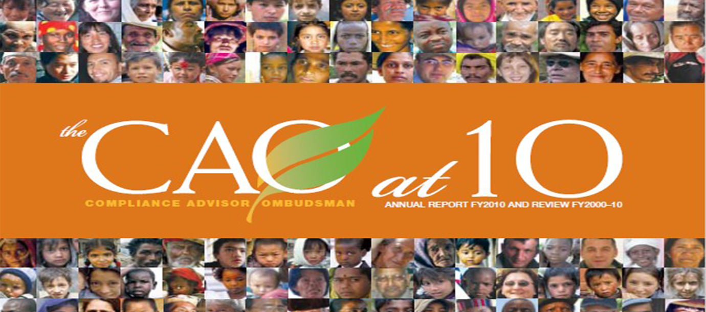 CAO 2010 Annual Report