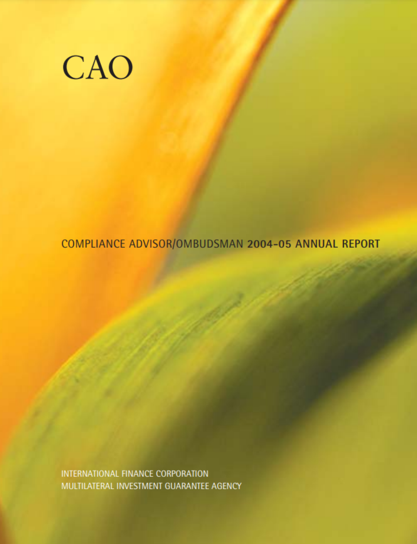 CAO 2005 Annual Report Cover