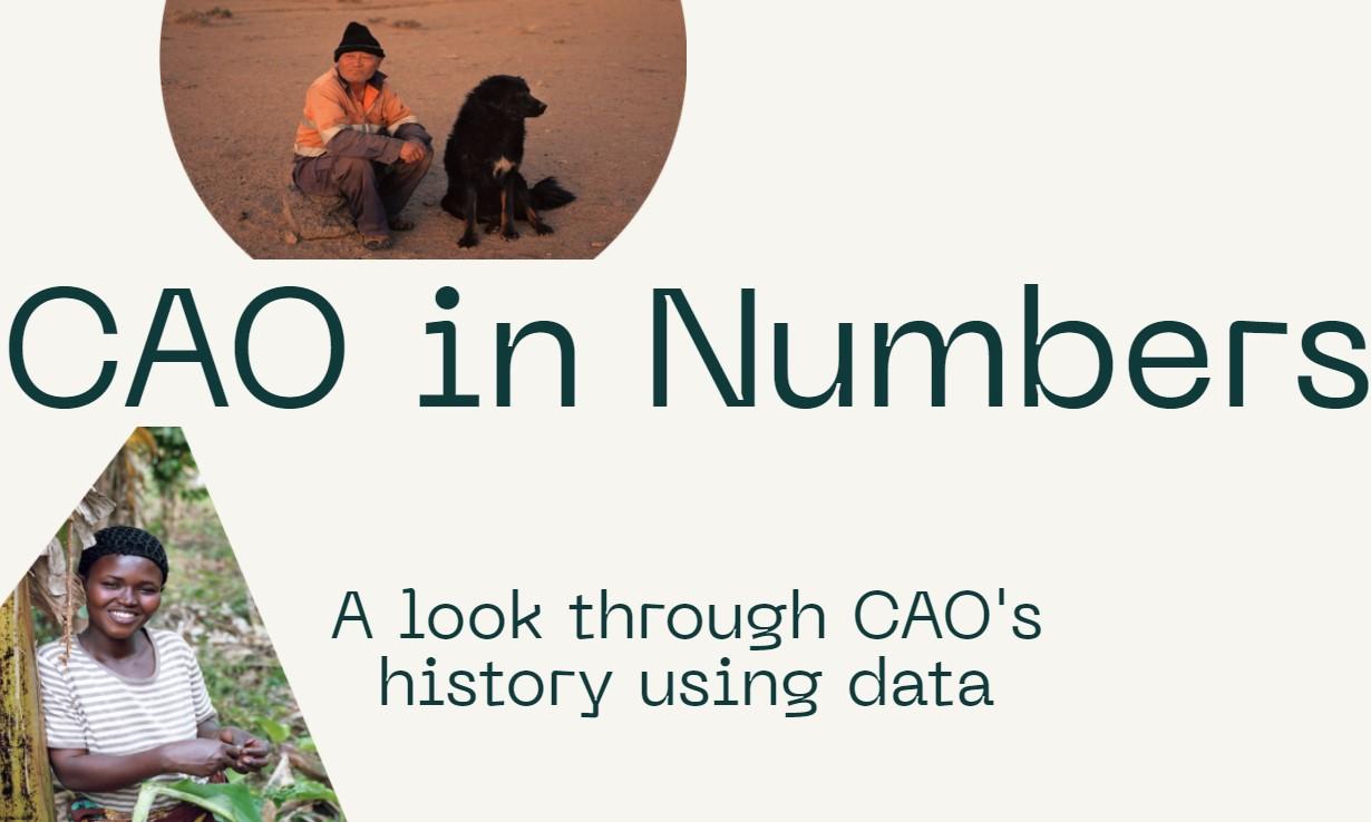 CAO in Numbers